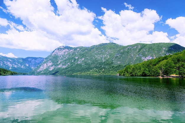 Scenery of Bohinj Lake in Slovenia. Nature in Slovenija. View of green forest and blue water. Beautiful landscape in summer. Alpine Travel destination. Julian Alps mountains on scenic background