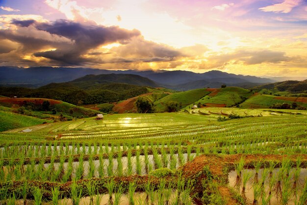 Foto paesaggio nuvola all'aperto cielo nessun uomo campo erba cielo nuvoloso tramonto paesaggio montagna