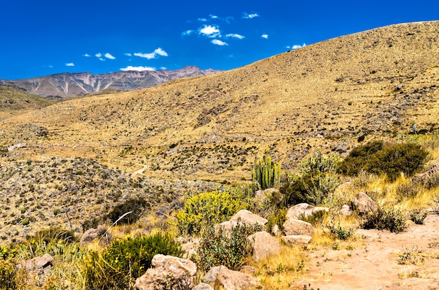 Scenery of the colca canyon in peru, one of the deepest canyons in the world