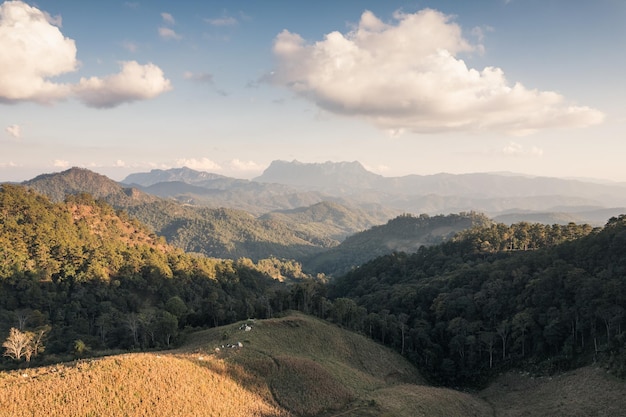 태국 국립공원 하두비 치앙다오에서 저녁에 시골의 열대 우림에 있는 도이루앙 치앙다오 산봉우리의 풍경