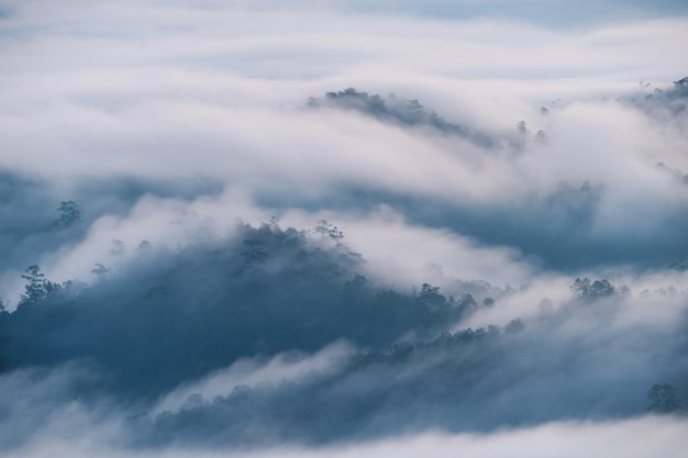 Scenery of foggy flowing on mountain valley in tropical rainforest at the morning