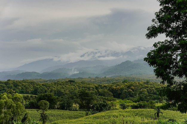 Scenery of forests and mountains in Thailand