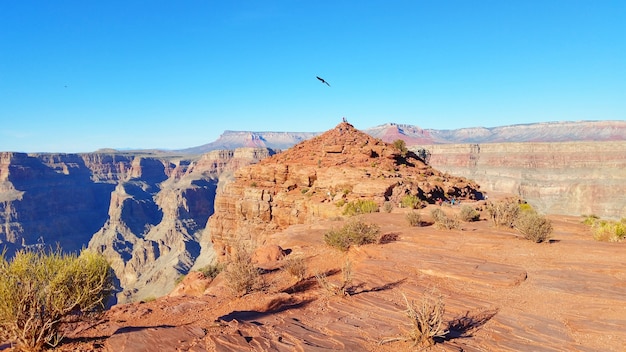 Foto paesaggio del parco nazionale del grand canyon con l'aquila che vola sulla cima in arizona, usa