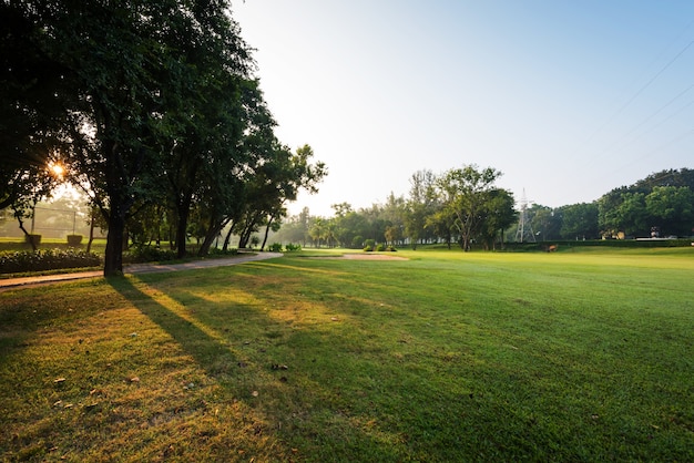 Scenery green garden and meadow in morning with, Wonderful sunbeam at the natural park