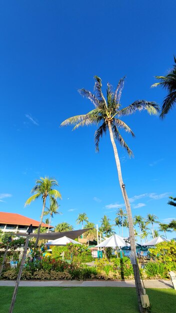 Scenery of kota kinabalu malaysia