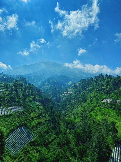 A scenery of mount merbabu