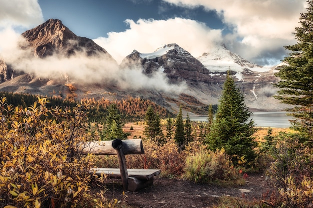 사진 마곡 호수(lake magog)에 있는 아시니보인 산(mount assiniboine)의 풍경과 캐나다 bc 주립 공원의 가을 숲에 있는 나무 의자