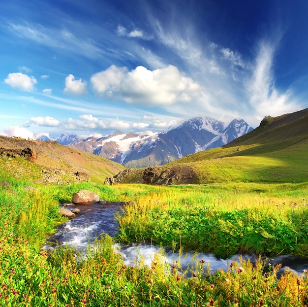 Photo scenery outdoors no humans sky day cloud flower grass mountain blue sky landscape water rock field