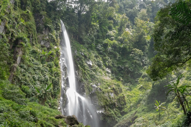 Scenery of single water fall on the tropical forest