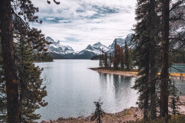 Scenery of Spirit Island in Maligne lake at Jasper national park