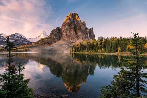 Paesaggio del lago sunburst e riflessioni del monte assiniboine tra il pino all'alba