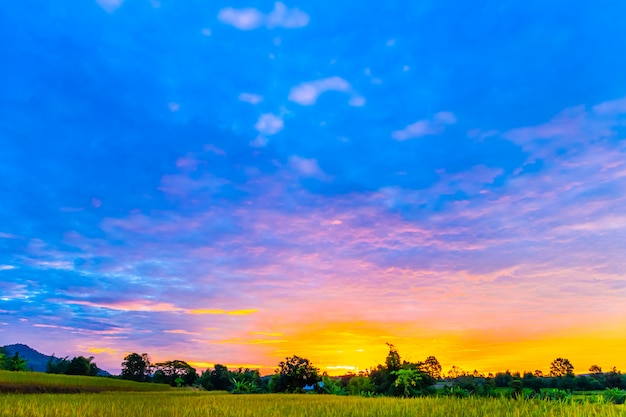 Photo scenery in the sunset