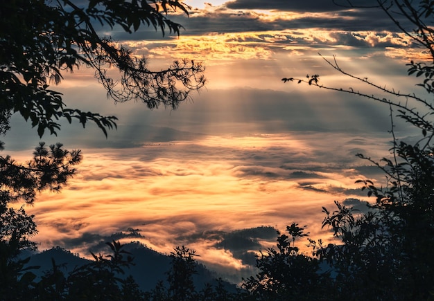 Scenery of trees frame covered of golden foggy with dramatic sky on mountain peak at sunrise morning