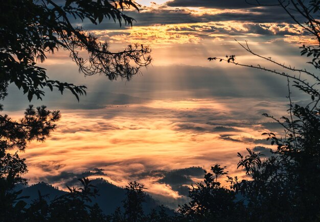 Scenery of trees frame covered of golden foggy with dramatic sky on mountain peak at sunrise