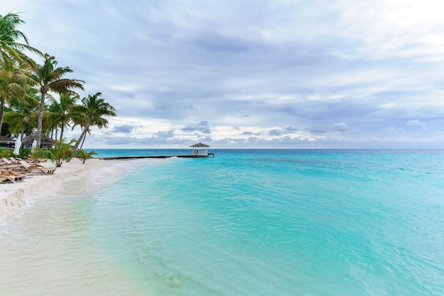 Scenery of tropical Maldives island