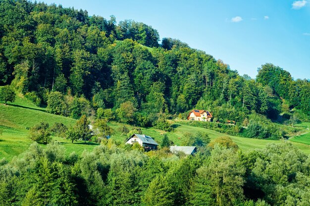 Scenery with houses at the Julian Alps mountains in Slovenia.