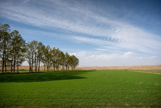 The scenery in xinjiang