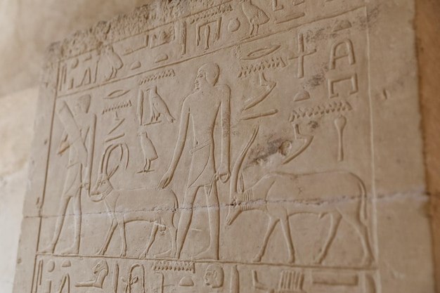 Scenes in Saqqara Necropolis Cairo Egypt