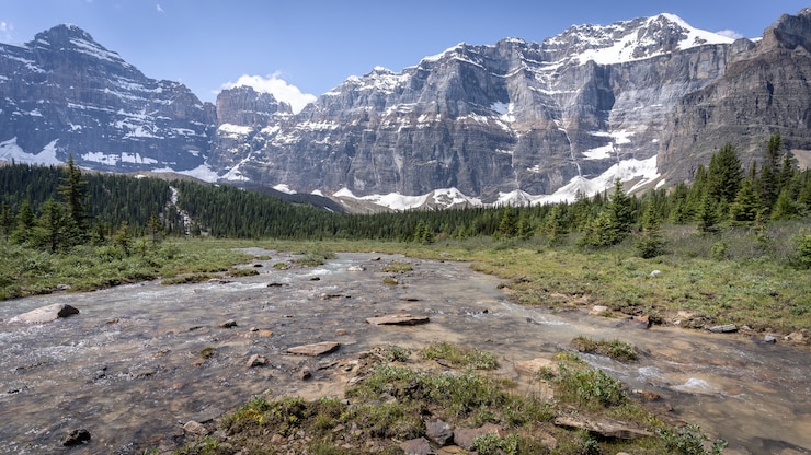 Photo scenic alpine valley with forest river mountains and blue sky in background banff npcanada