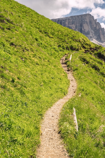 Scenic Alps with trail on green hill and high rocky mountain under blue sky in national park