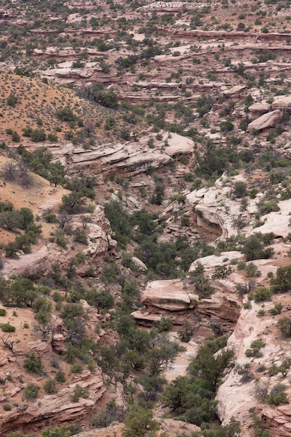 砂漠の峡谷の風光明媚なアメリカの風景と赤い岩の山々