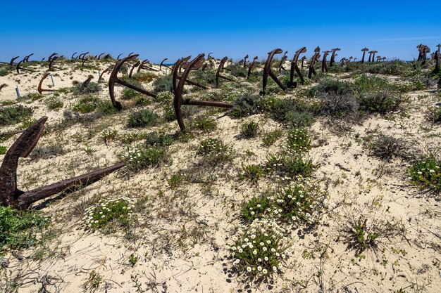 Photo the scenic anchors cemetery laying among the dunes of barril beach near tavira algarve portugal