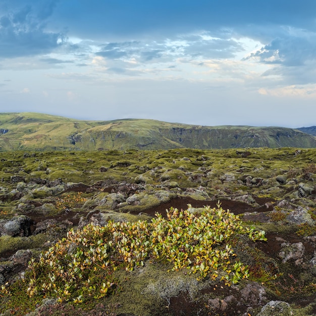 Photo scenic autumn green lava fields near fjadrargljufur canyon in iceland green moss on volcanic lava stones unique lava fields growth after laki volcano eruption