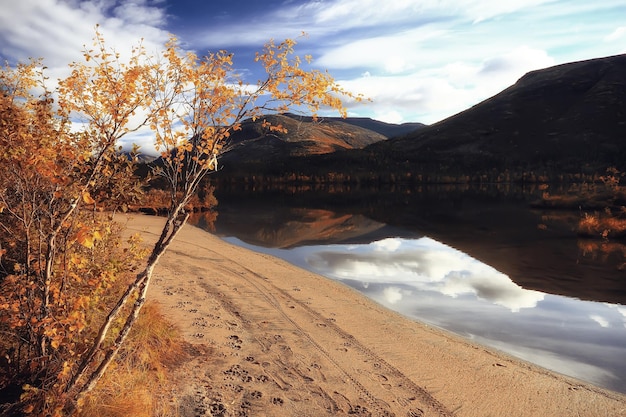 scenic, autumn landscape trees and forest river and lake, nature view fall background