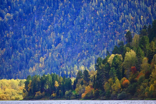 scenic, autumn landscape trees and forest river and lake, nature view fall background