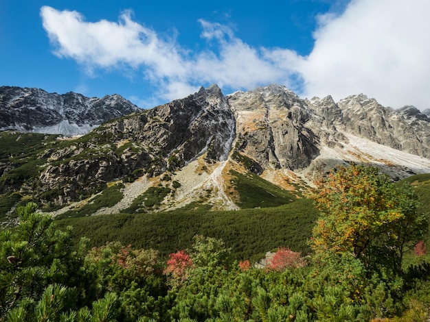 写真 太陽に照らされた黄金の丘の中腹を望む渓谷の山川のある風光明媚な秋の風景