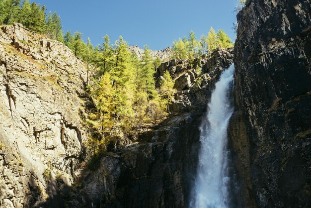 日差しの中で山頂に垂直の大きな滝と黄色の木々がある風光明媚な秋の風景。岩だらけの峡谷にある強力な大きな滝。秋の高水と黄金色の木々。