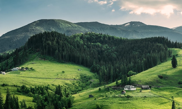 Scenic berglandschap zomer groene weide