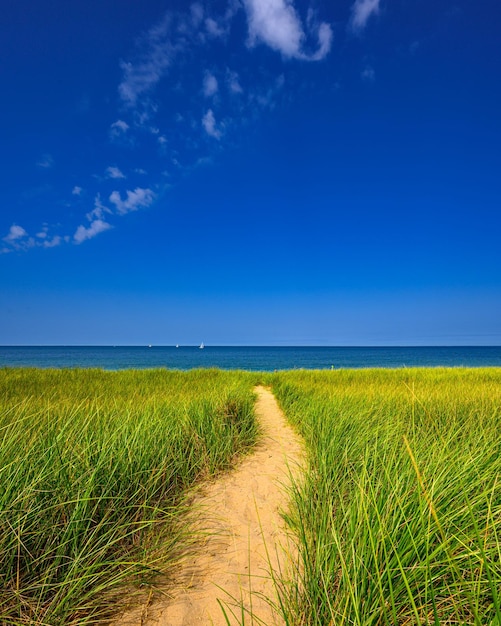 Scenic Block Island dividing through lush grassy terrain near the sparkling ocean on a sunny day