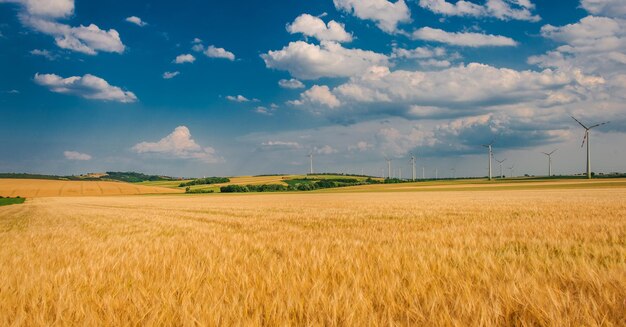 写真 ライ麦畑と風力タービン発電所の美しい田舎の風景 オーストリア ヨーロッパ
