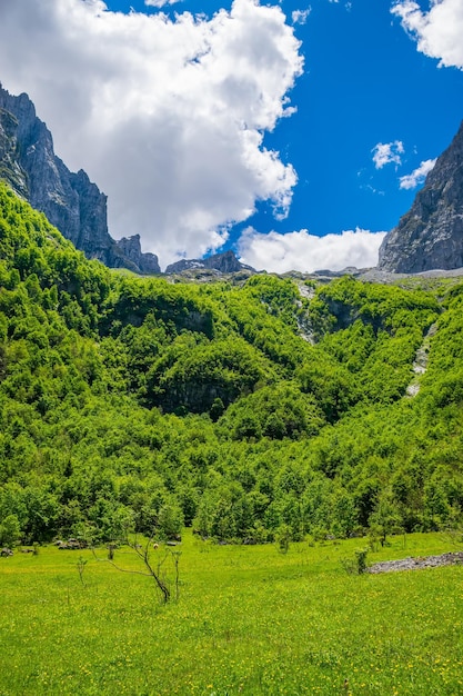 Foto foresta e prati panoramici tra le alte montagne innevate