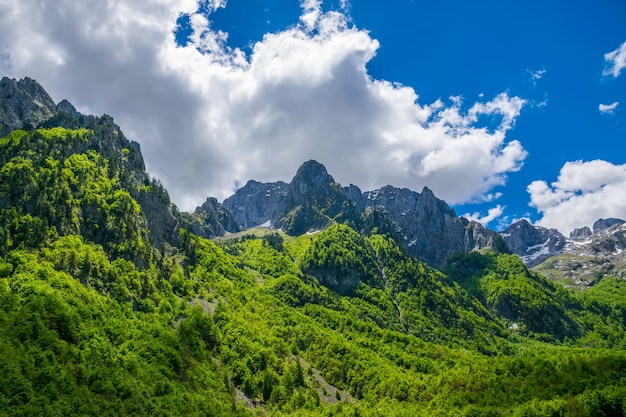 Scenic forest and meadows among the high snowcapped mountains