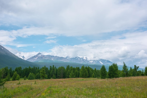 Scenic green landscape with coniferous forest line on hill and high snowy mountain range in low clouds Colorful scenery with green forest and snow mountains under lue cloudy sky in changeable weather