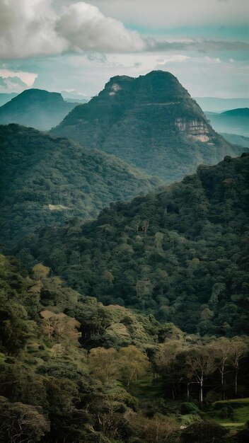 Scenic green mountains anb jungles ceylon landscape of sri lanka