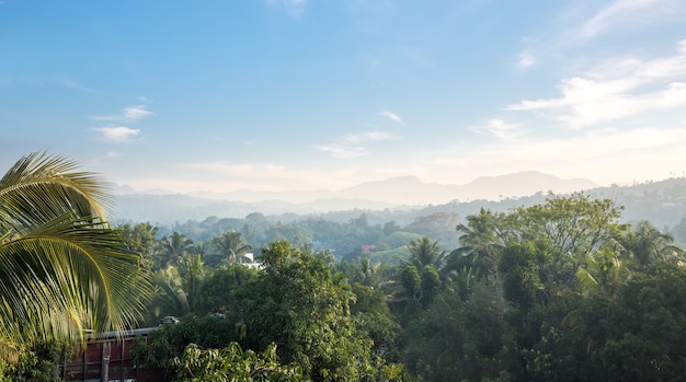 Scenic green mountains anb jungles, Ceylon