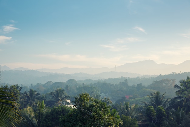 Scenic green mountains anb jungles, Ceylon