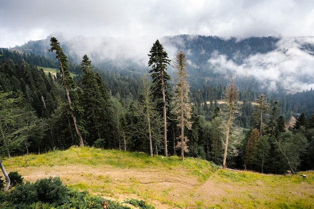 Scenic green mountains and beautiful sky clouds for background