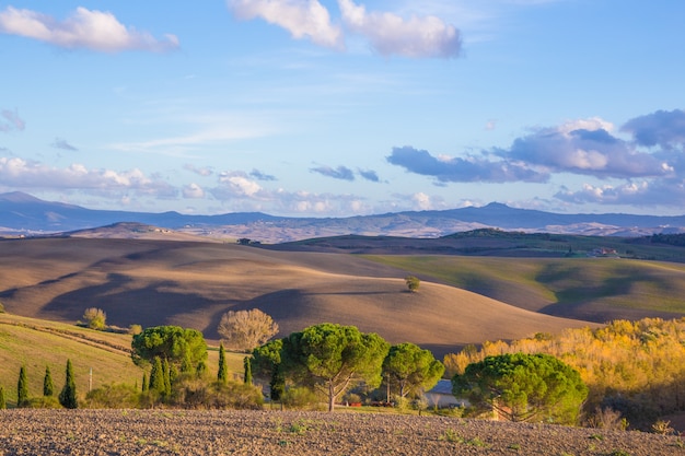 Foto colline panoramiche sotto i raggi del sole al tramonto