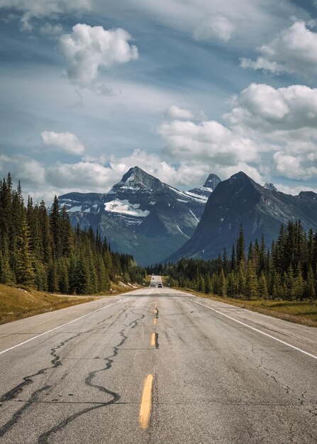 Scenic Icefields Pkwy reist door Banff en Jasper National Park