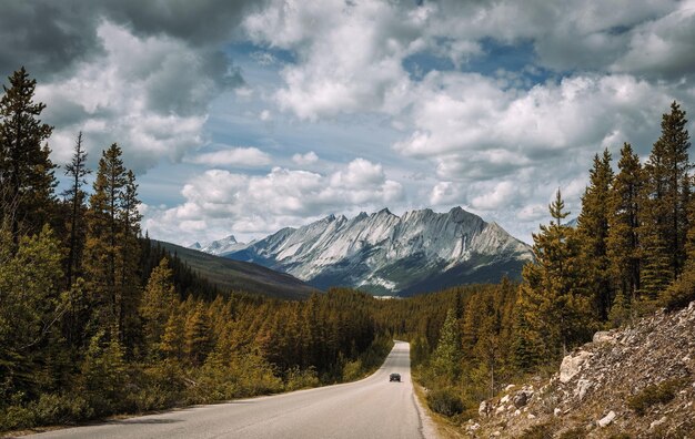 Scenic Icefields Pkwy путешествует по национальному парку Банф и Джаспер