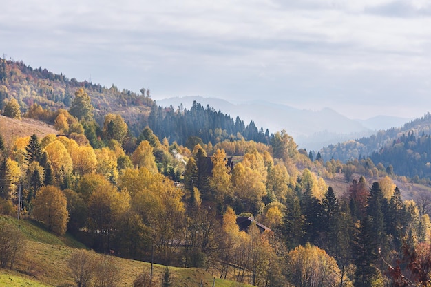 Scenic landscape autumn forest in mountains Cottages in forest