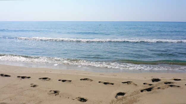 Scenic landscape of calm sea waves on sandy beach on a summer day beautiful seascape view