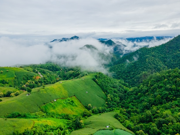 写真 タイの丘の上に霧のある農地の風光明媚な風景