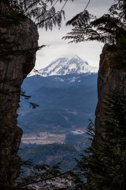 カナダの自然の山の背景の風光明媚な風景のビュー