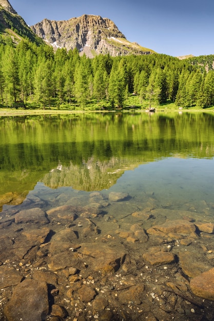 Scenic landscape with mountain, forest and lake