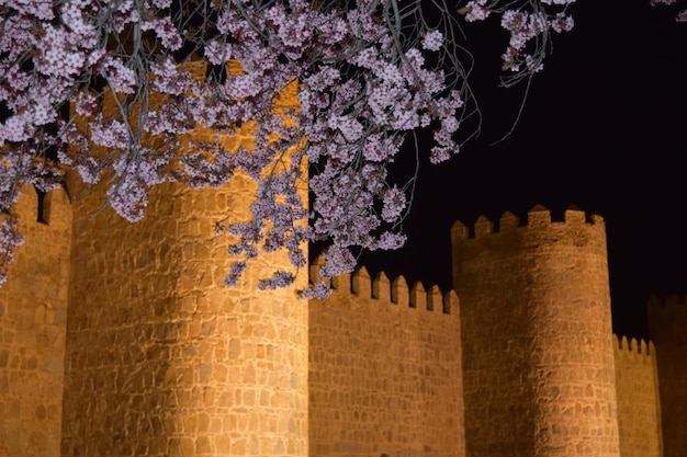 Scenic medieval city walls of Avila night